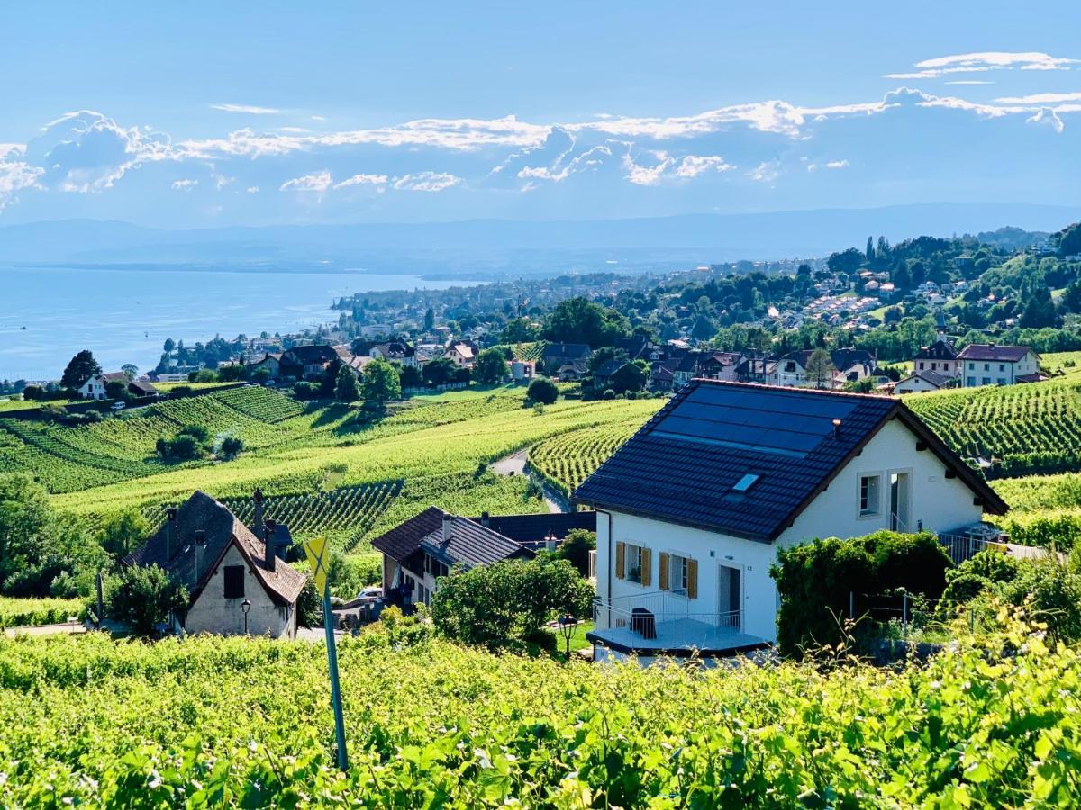 Отель #Lavaux Лютри Экстерьер фото