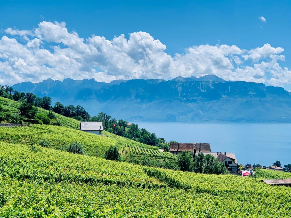 Отель #Lavaux Лютри Экстерьер фото