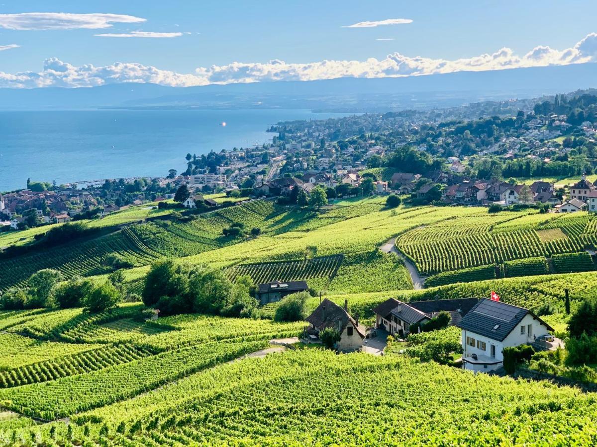 Отель #Lavaux Лютри Экстерьер фото