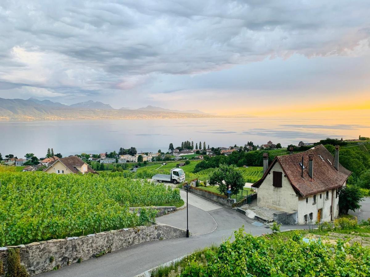 Отель #Lavaux Лютри Экстерьер фото