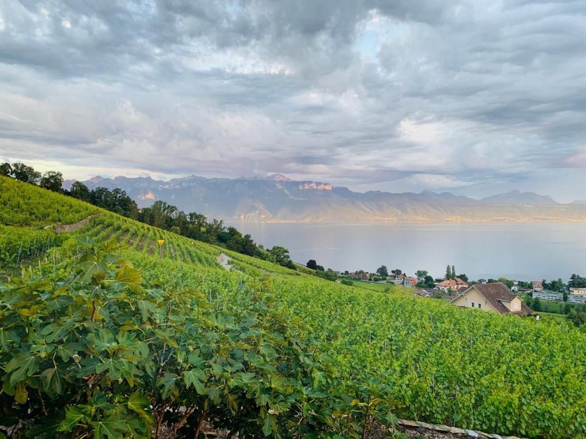 Отель #Lavaux Лютри Экстерьер фото