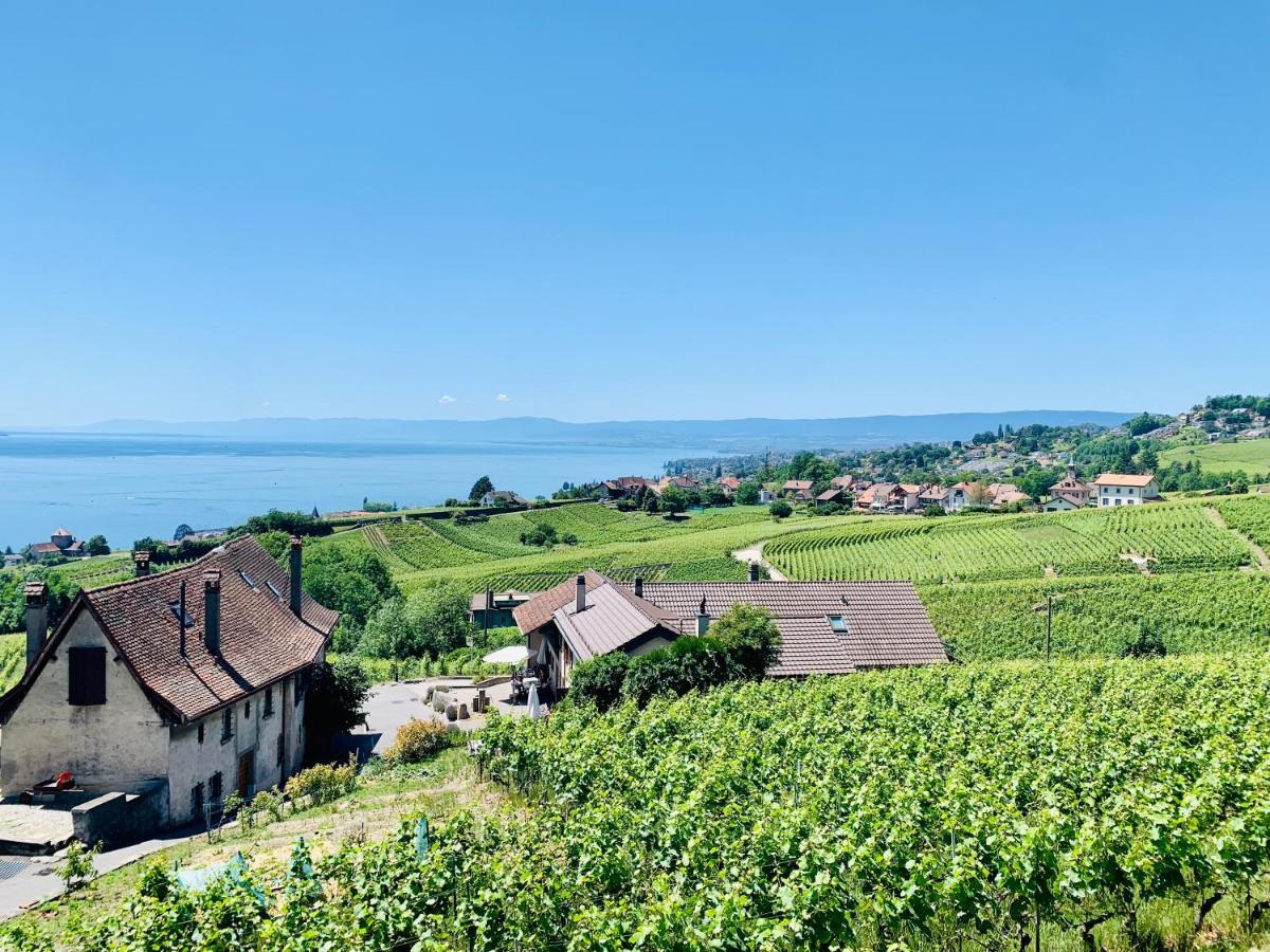 Отель #Lavaux Лютри Экстерьер фото